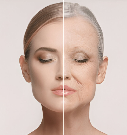 Anti-Aging